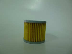 P1000727         