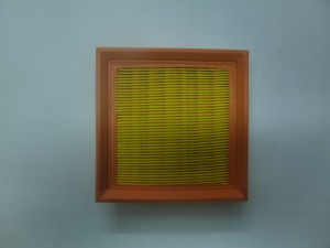 P1000905 