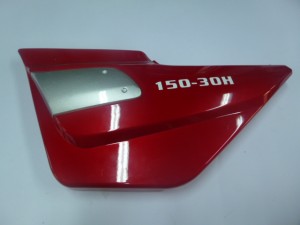 P1020007
